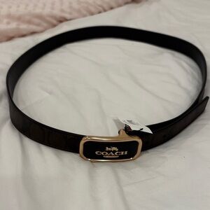 NEW Coach Black and Brown Belt with Gold Accents